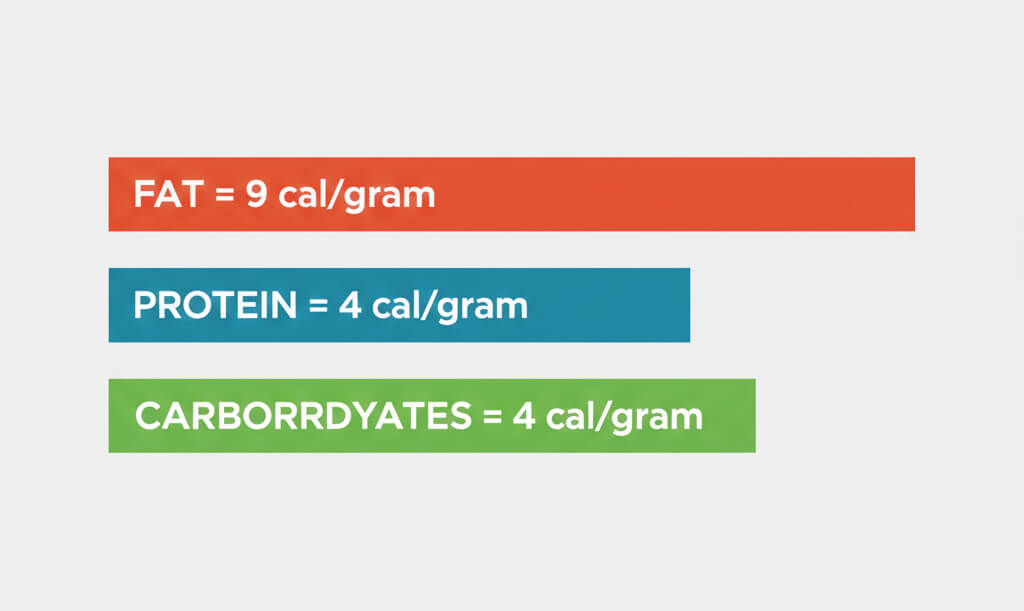 Infographic comparing calories per gram: Fat has 9 calories per gram, protein has 4, carbohydrates have 4