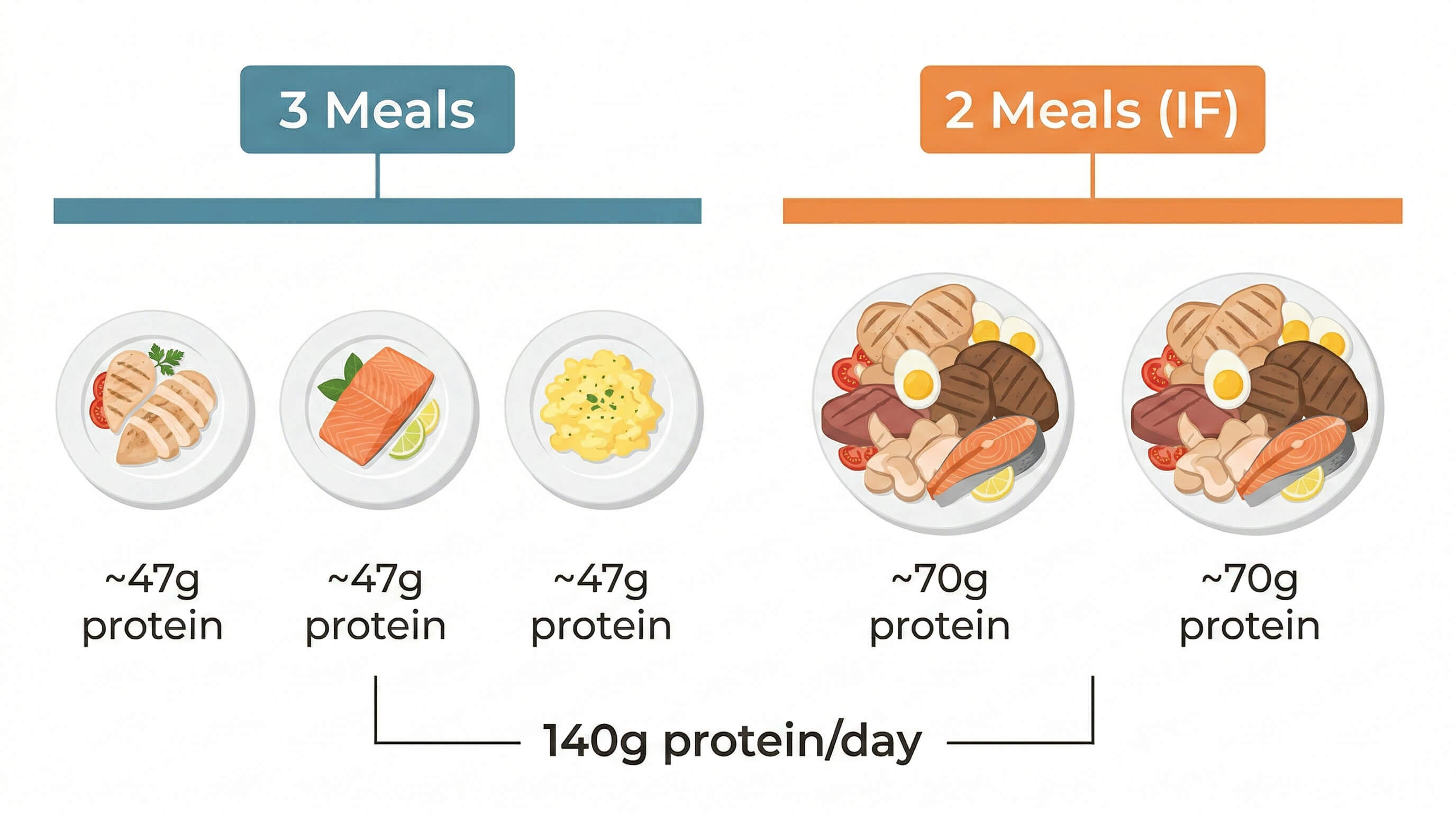 Infographic showing 140 grams of daily protein split across three meals versus two meals, illustrating the difficulty of hitting targets with intermittent fasting
